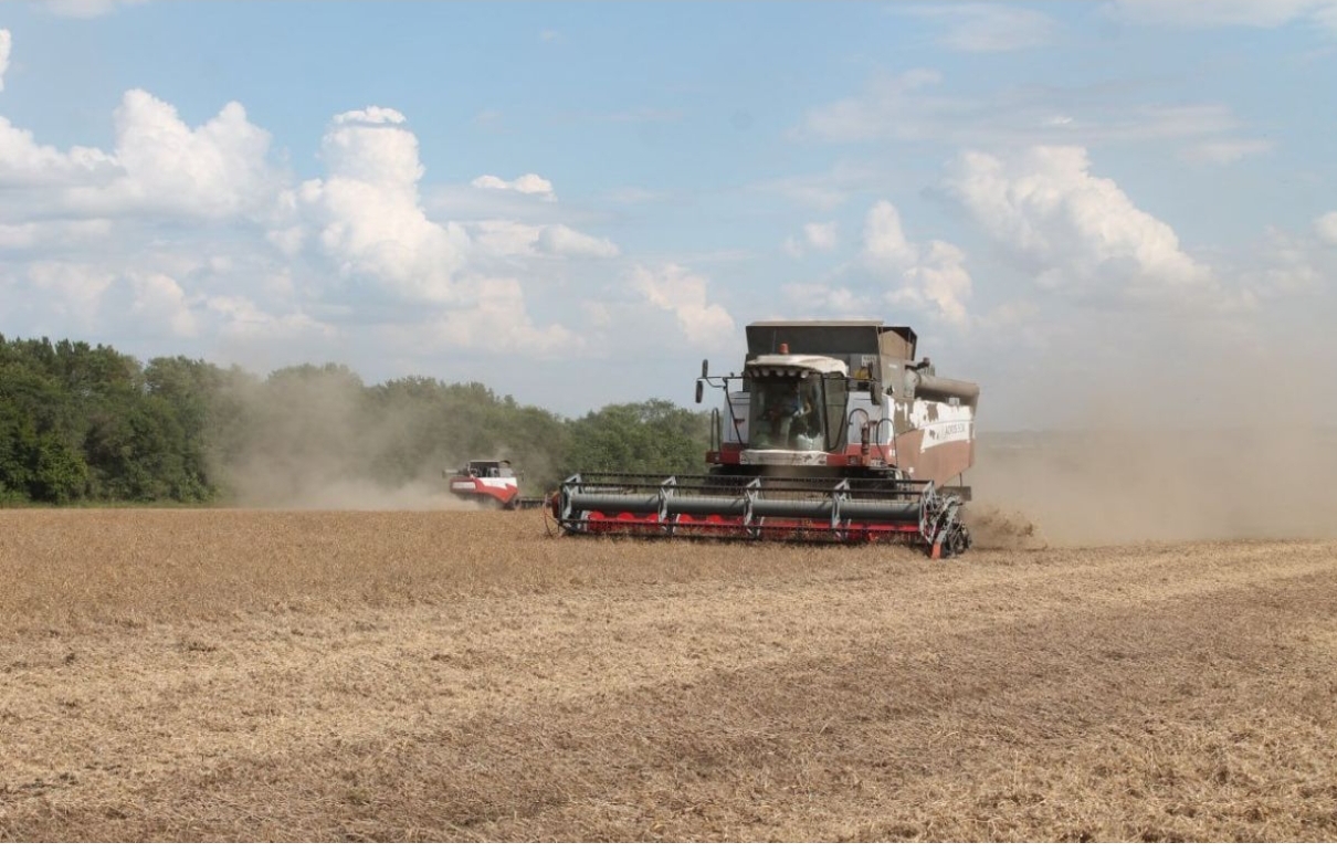 В Кузбассе полным ходом идет уборка урожая