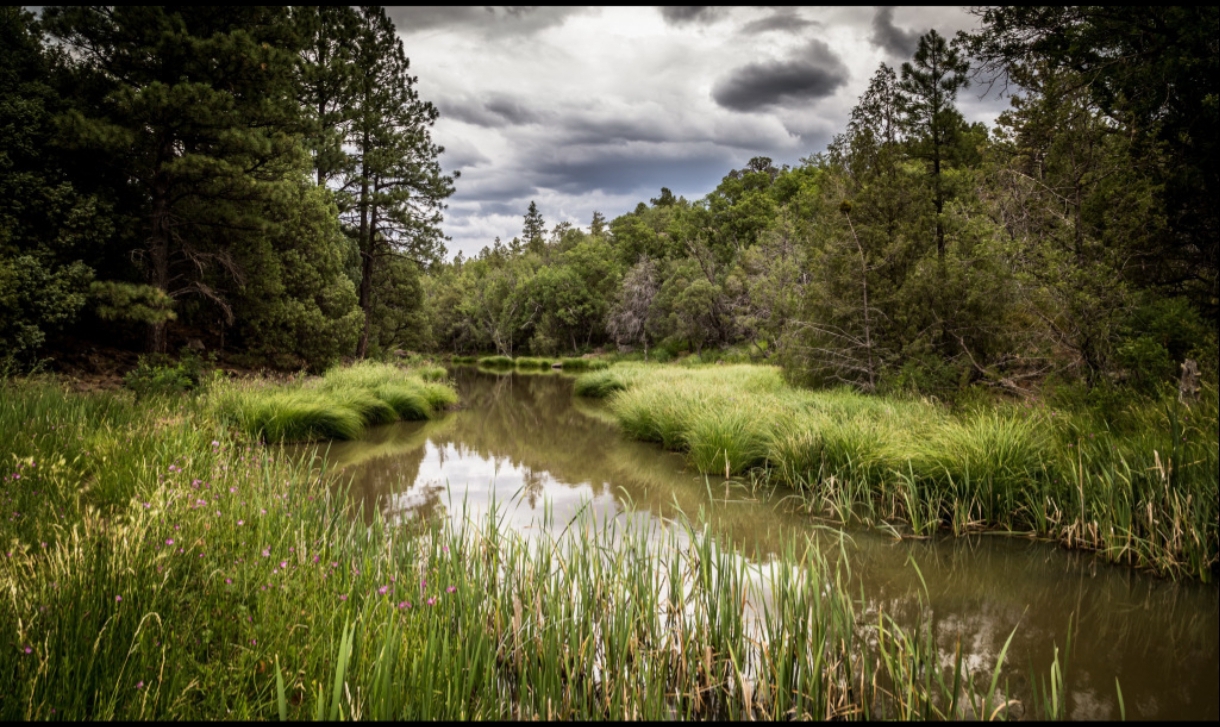 Золотодобытчики загрязняли кузбасские реки
