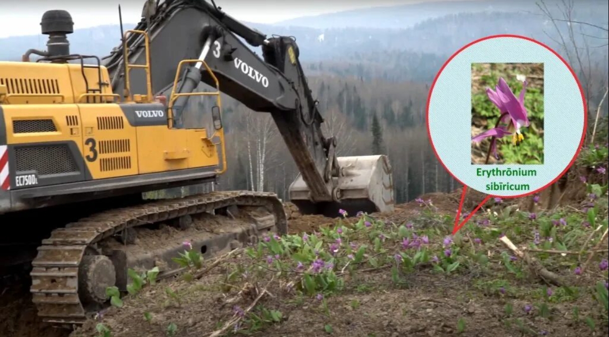 Сохраним по новым правилам