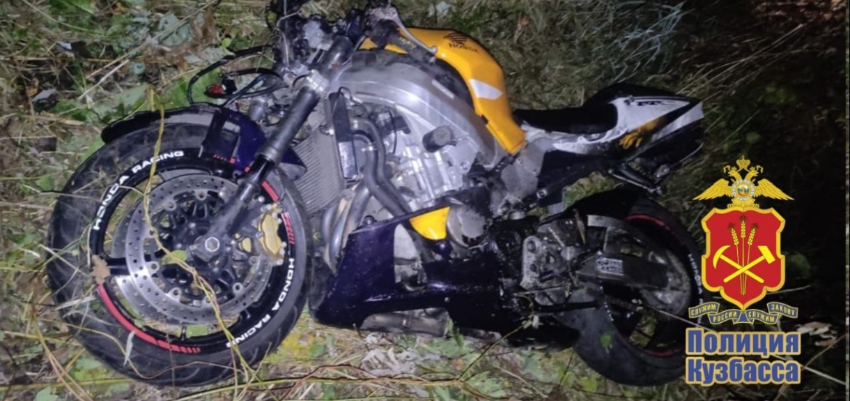 Кузбассовцы погибли при столкновении мотоцикла с лосем
