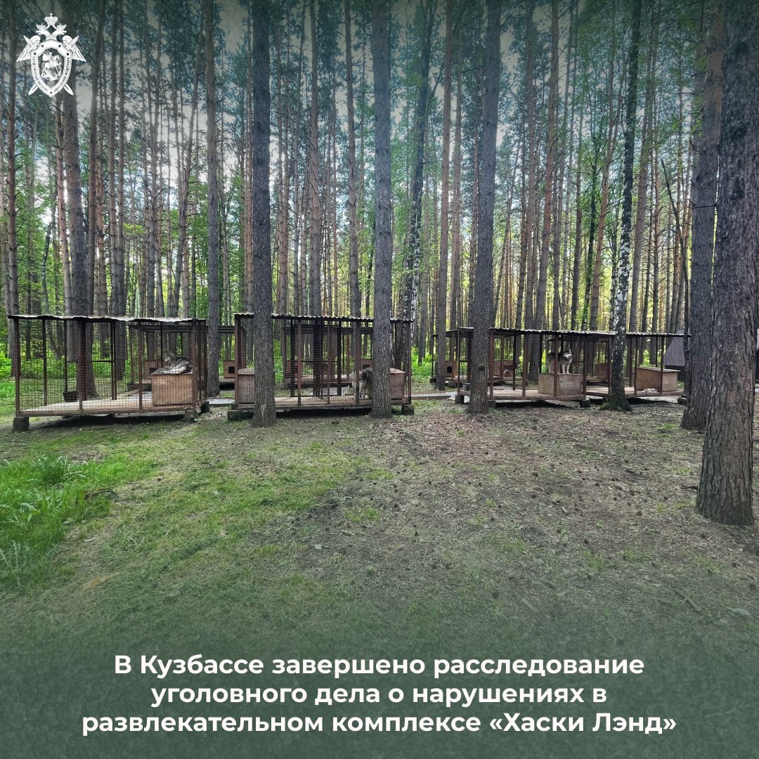 Этот опасный «ХАСКИ ЛЭНД»