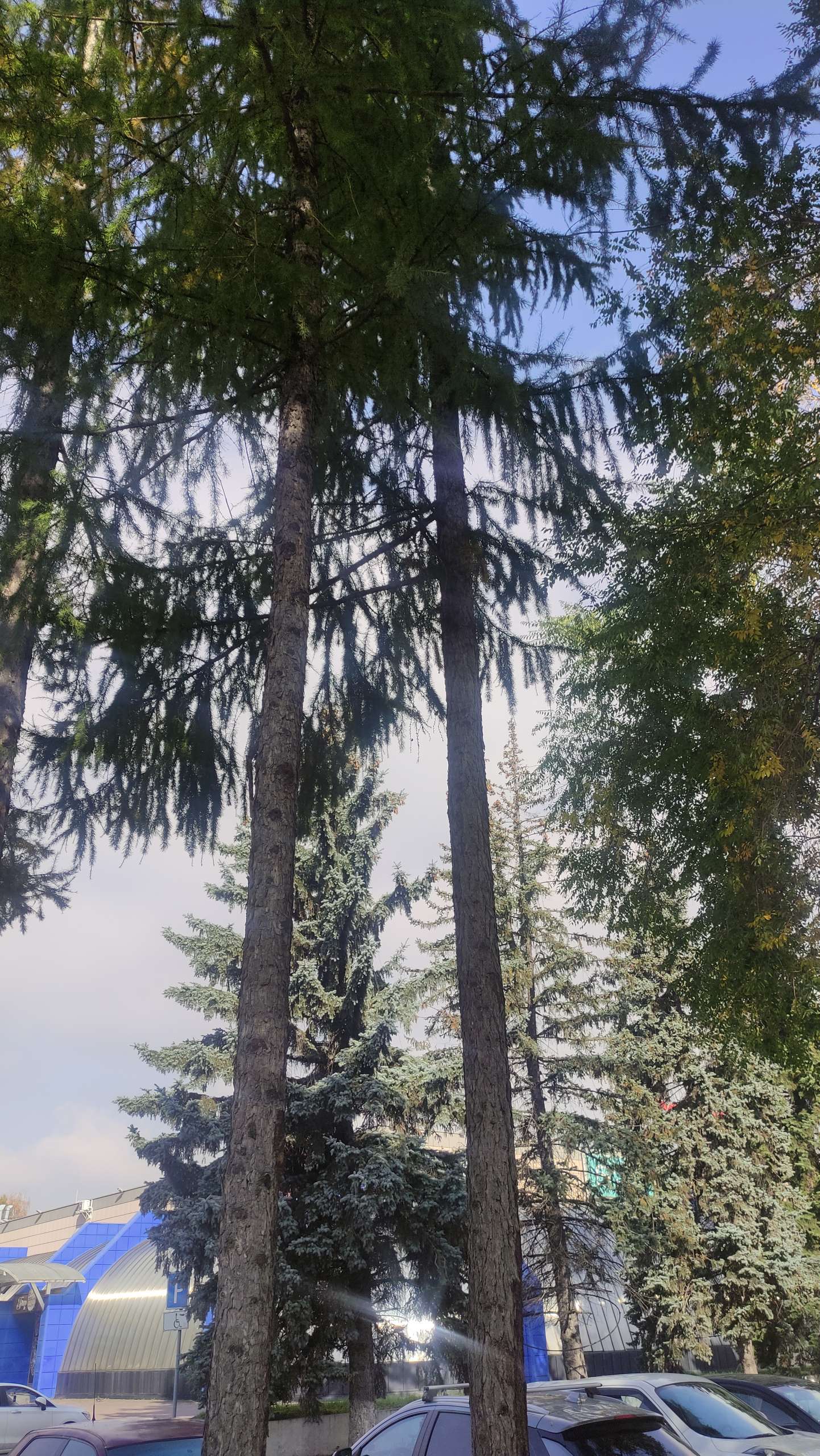 Благоустройство есть хозяйского подхода нет