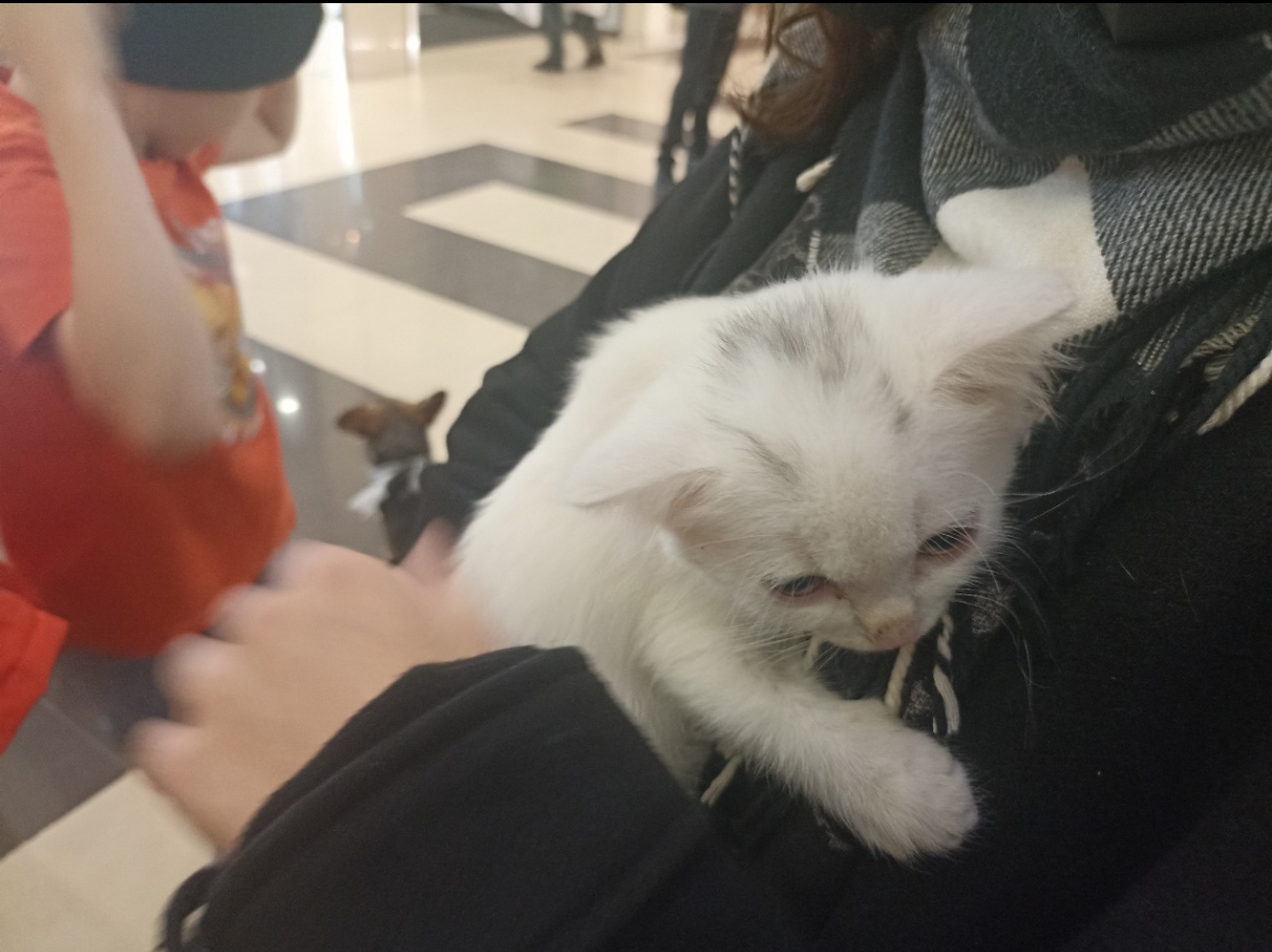 Чтобы наш мир стал чуточку человечнее