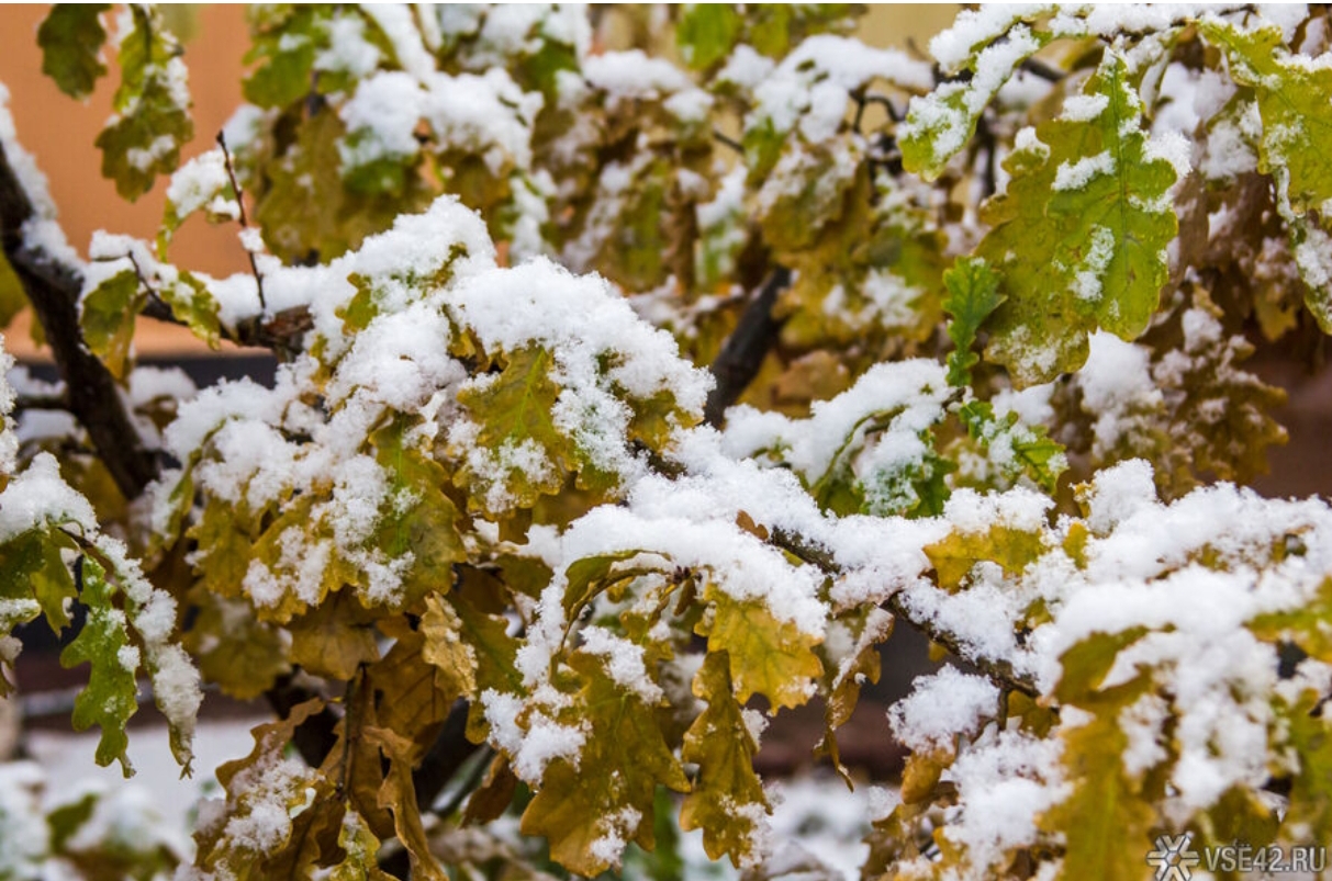 До -9℃ и снег: синоптики рассказали о погоде в Кузбассе в ближайшие дни