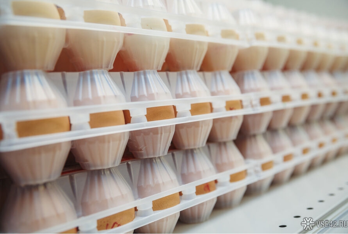 Более 4 млн кузбасских яиц отправились в Монголию с начала года