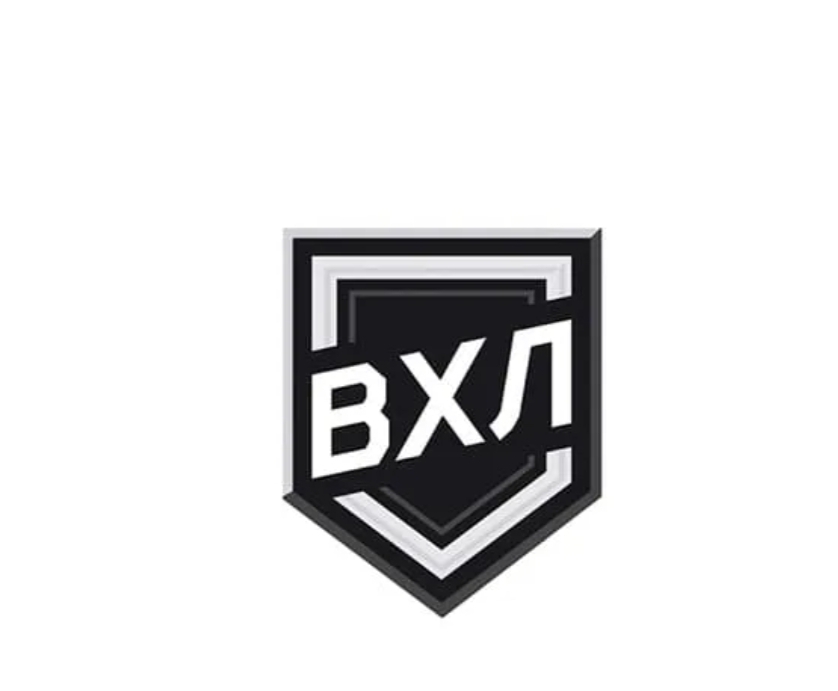 Стариков сыграл 200 матчей в ВХЛ