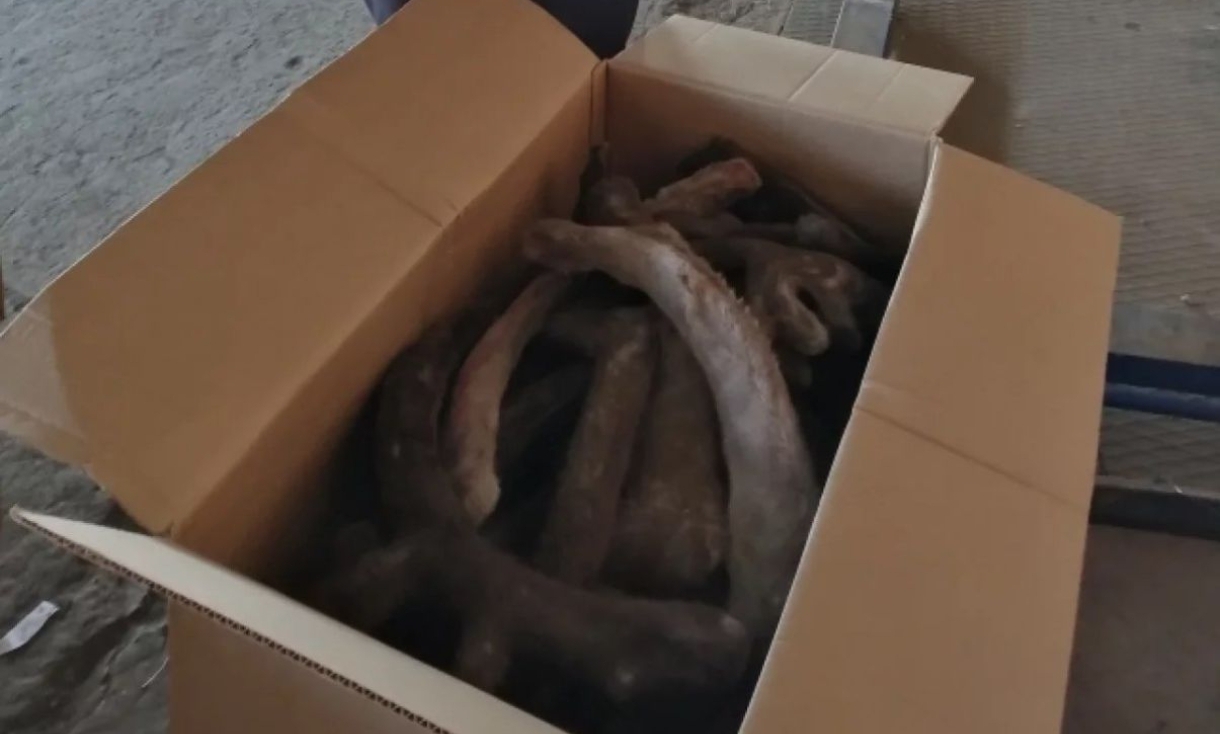 Кузбасс снабжает Китай «лекарством от смерти»