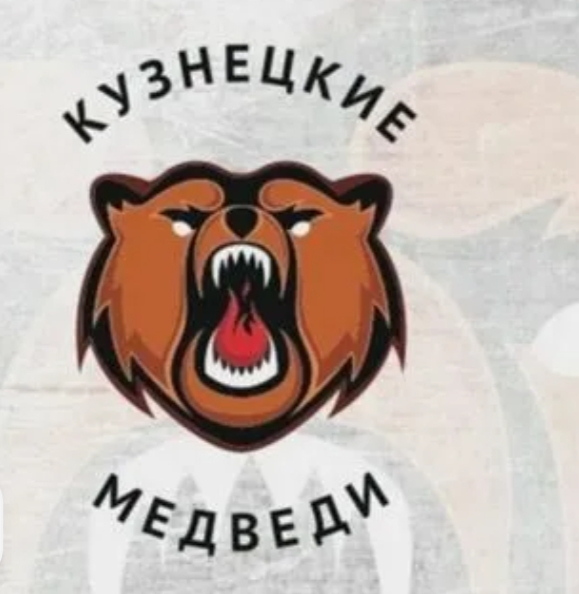 «Медведи» в матче с «Чайкой» одержали победу в серии буллитов