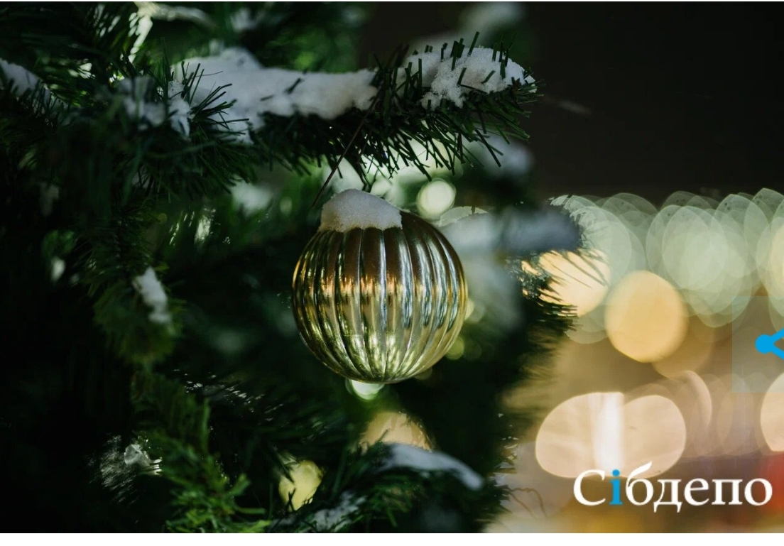 Стало известно, как изменились цены на главный символ новогодних праздников