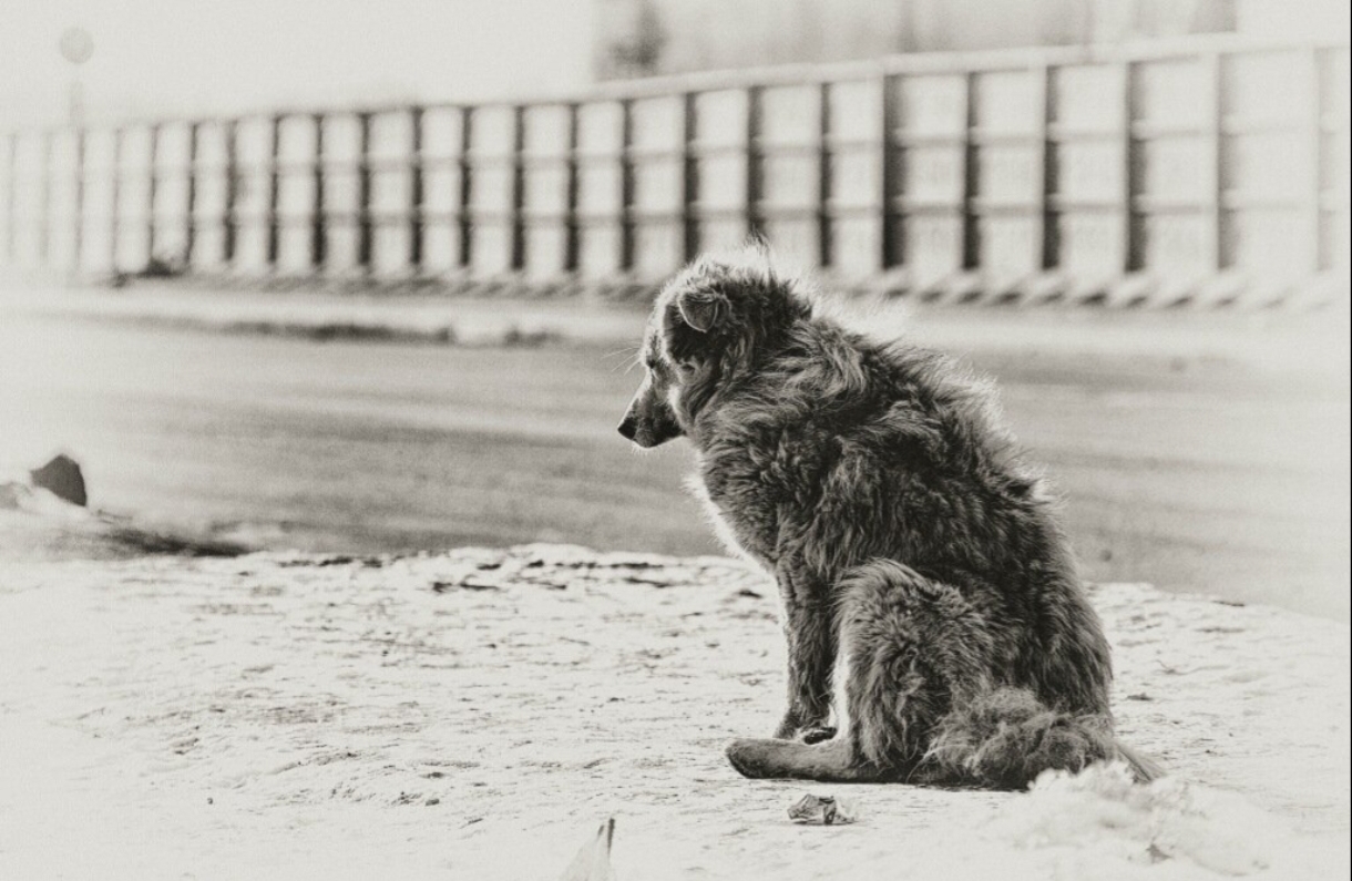 И как тут разбираться?