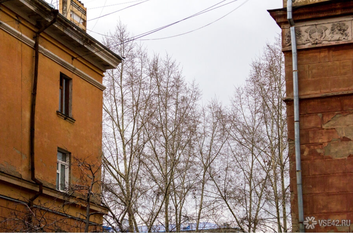 Вильфанд спрогнозировал аномальное тепло в Кузбассе в ближайшие дни