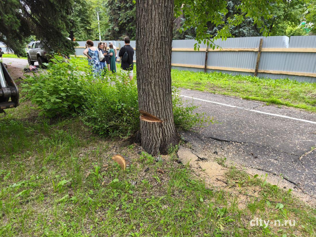 Предложения защитников города-сада отклонены