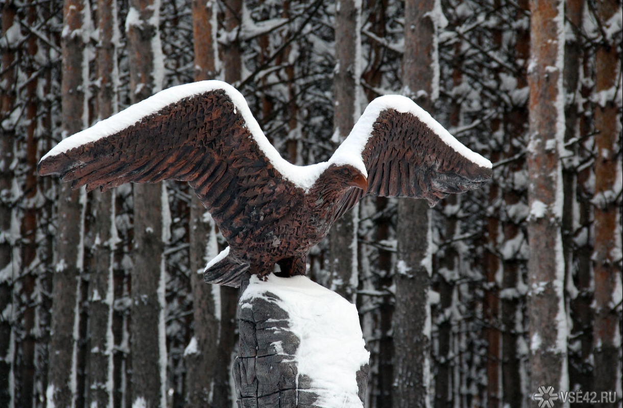 Штормовой ветер опять налетит на Кузбасс на выходных