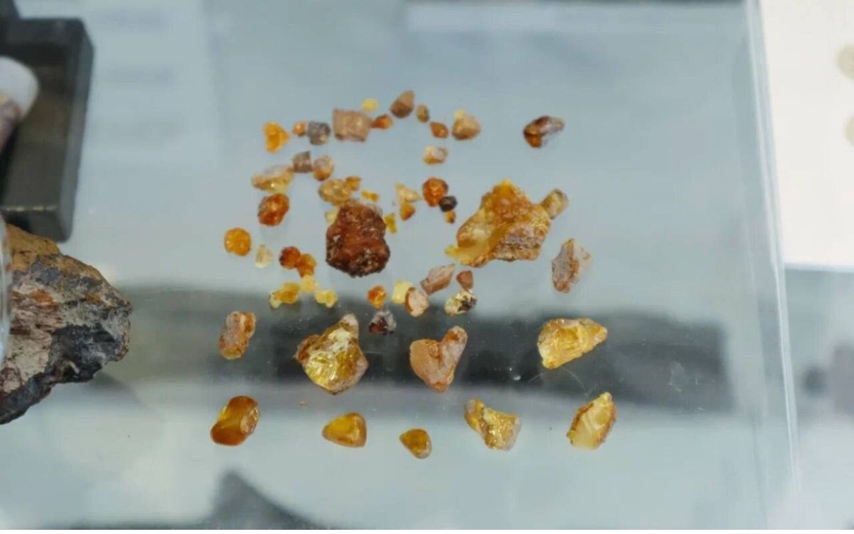 Древнейший в России янтарь обнаружен в Кузбассе