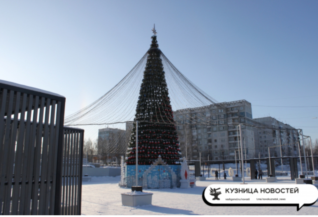 Лучшая в городе: самую дорогую ёлку в этом году установят в Новоильинском районе