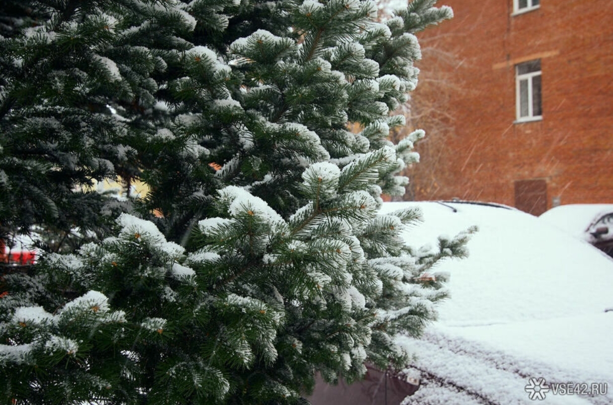 Власти введут в Кузбассе режим повышенной готовности