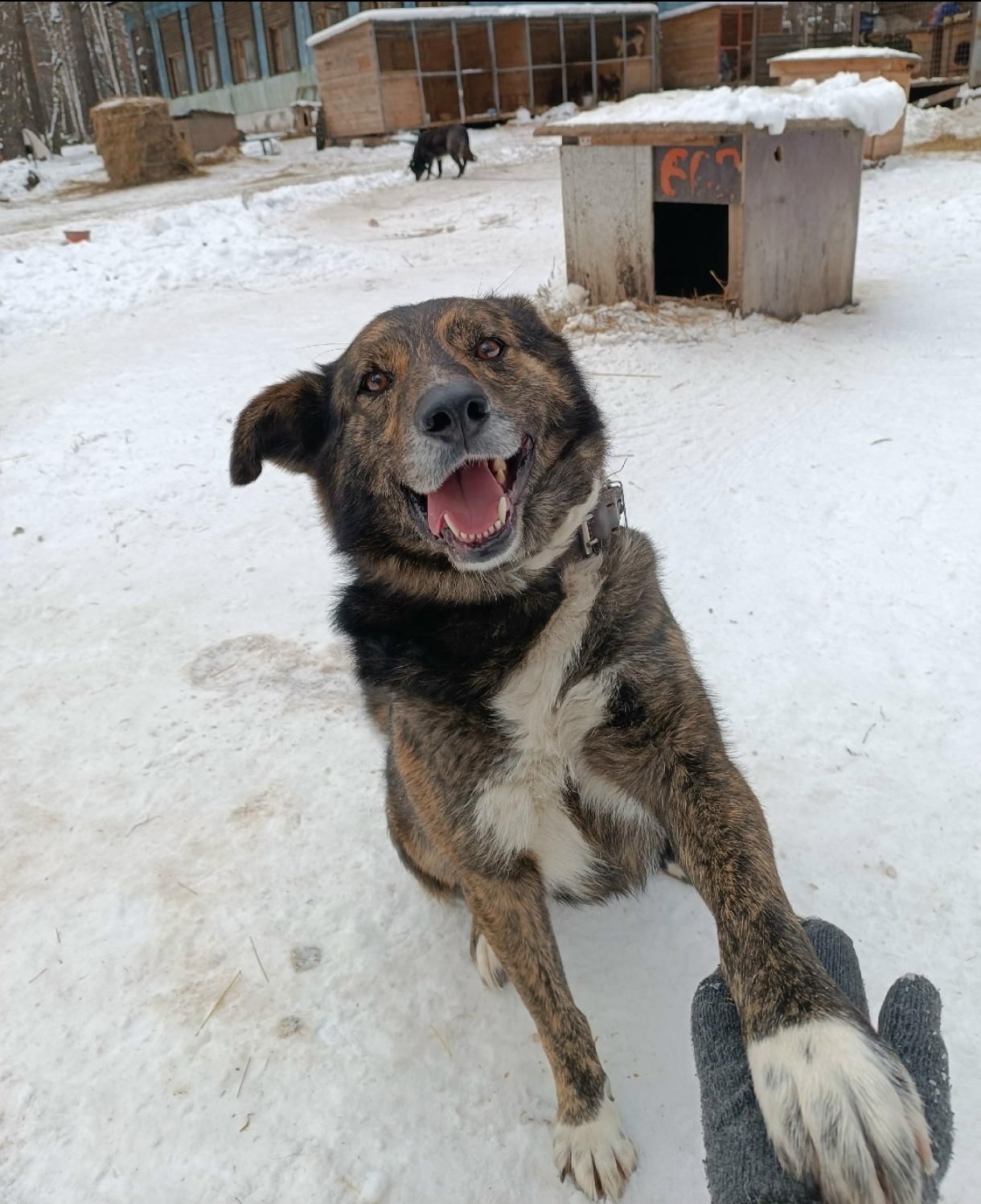 Стать волшебником просто!
