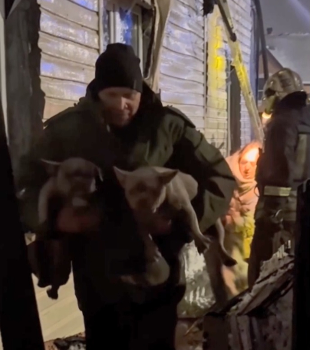 В Кузбассе во время пожара сотрудники МЧС спасли 17 собак