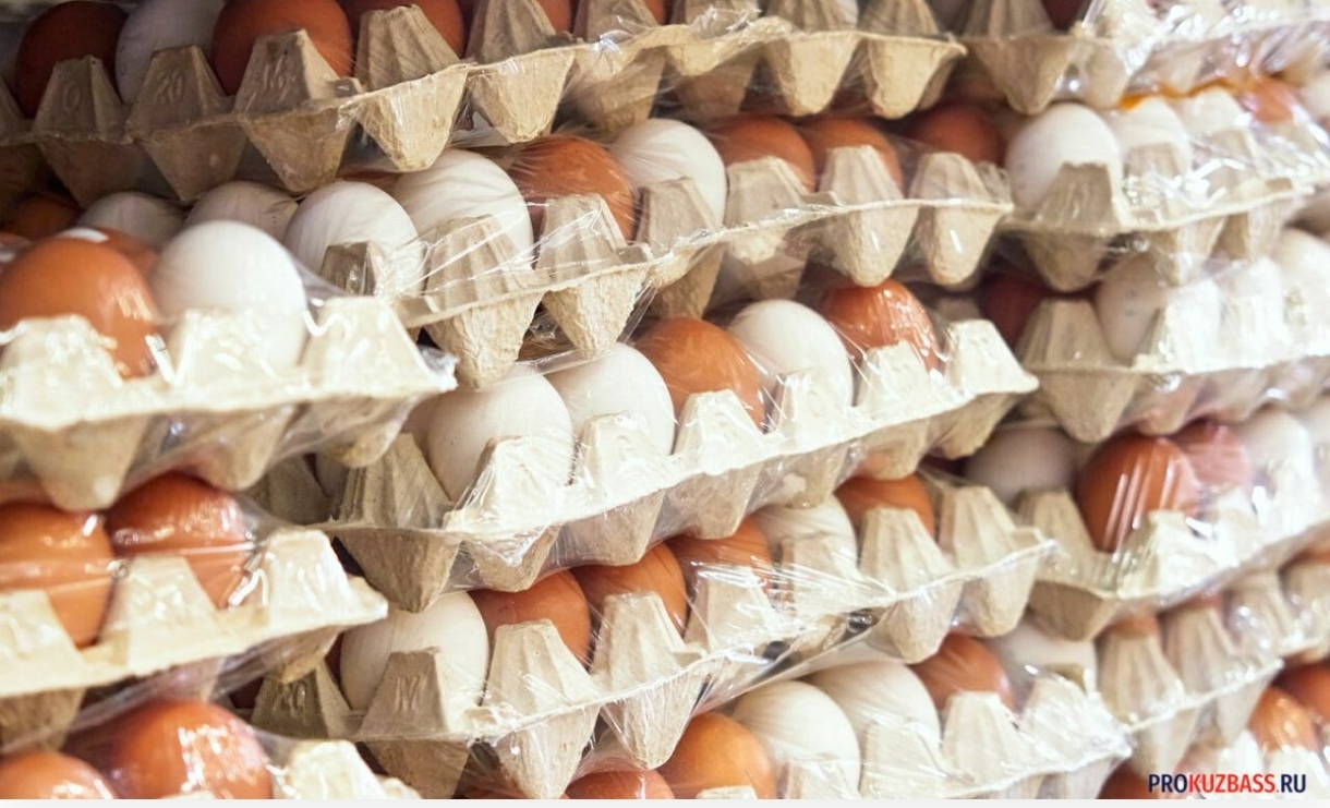 Кузбасс наращивает экспорт сельхозпродукции