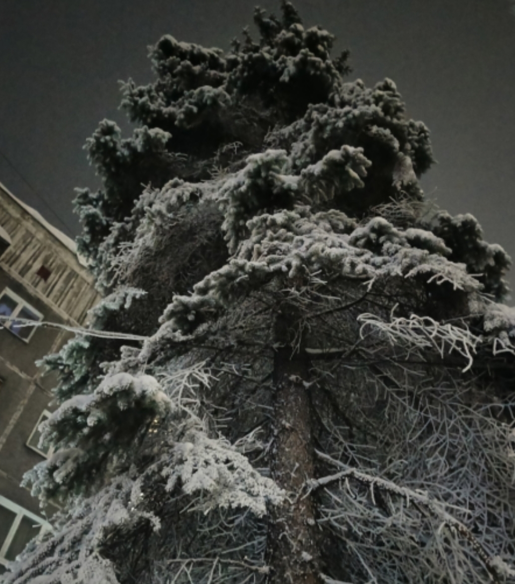 Сильные морозы до -39 возвращаются в Кузбасс: затронет ли Новокузнецк