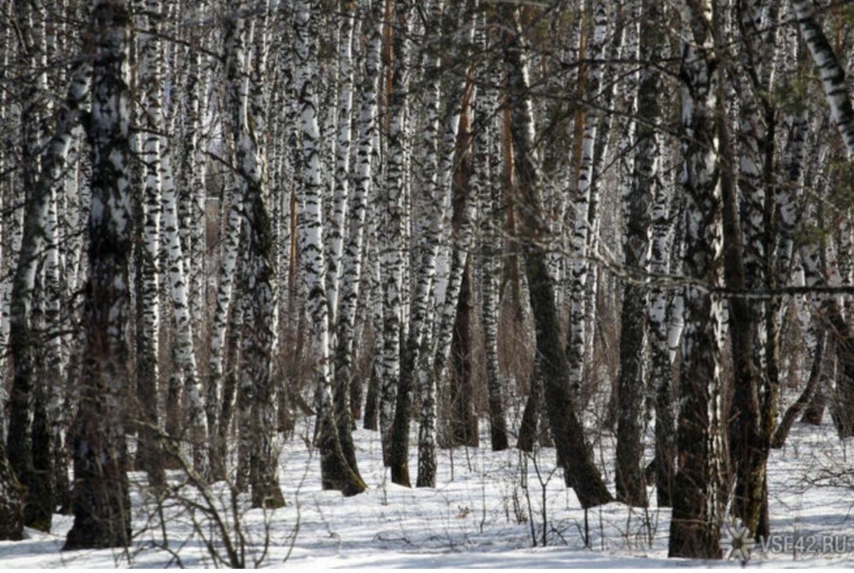 От -36ºС до -4ºС: скачки температуры произойдут в Кузбассе на неделе