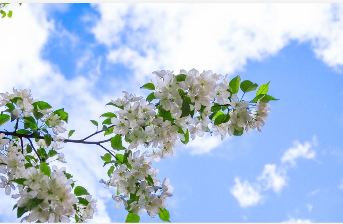 Синоптики прогнозируют аномально теплую весну в Кузбассе