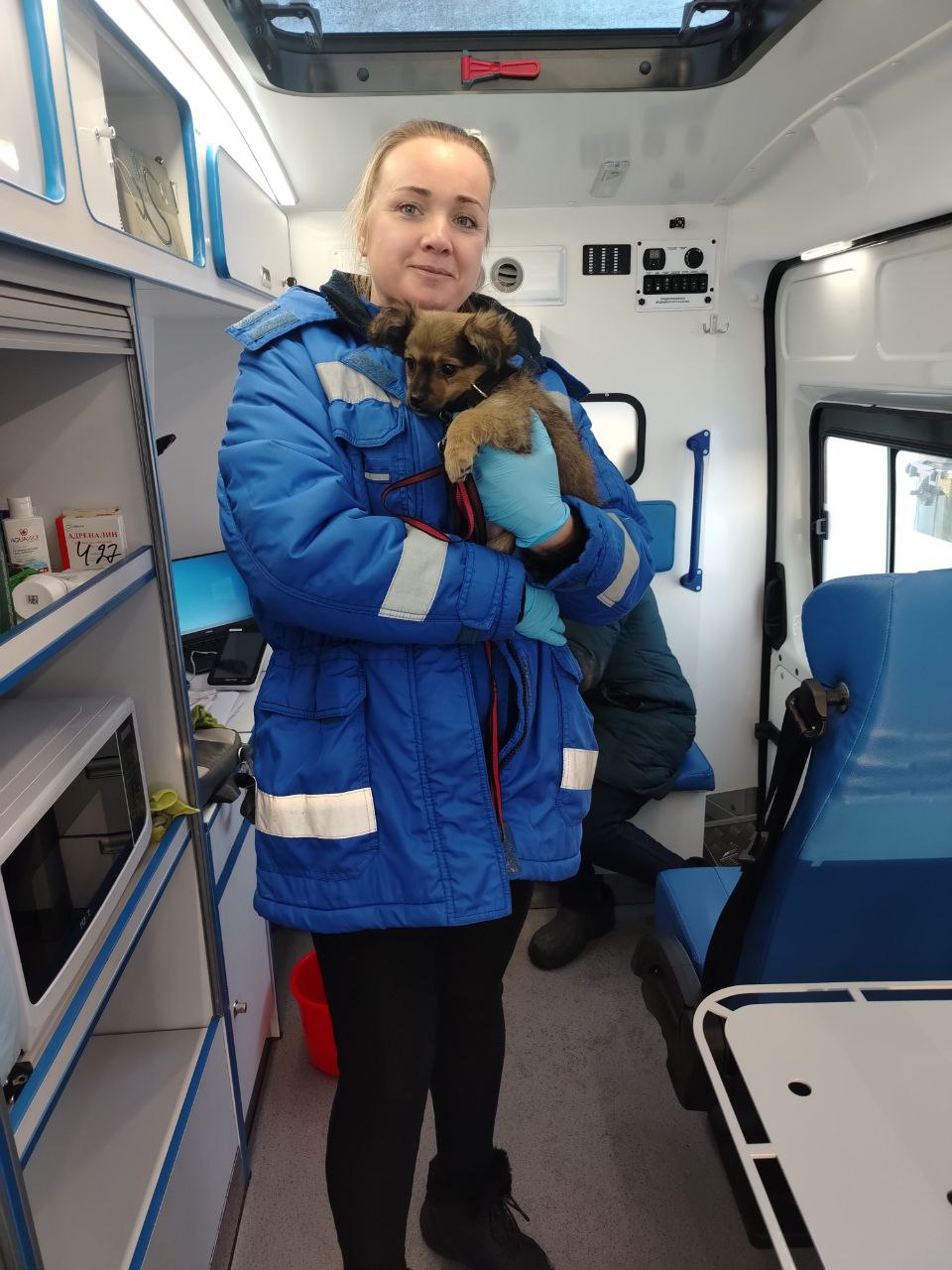 Если хозяин не ведёт своего питомца к ветеринару, то ветеринар…