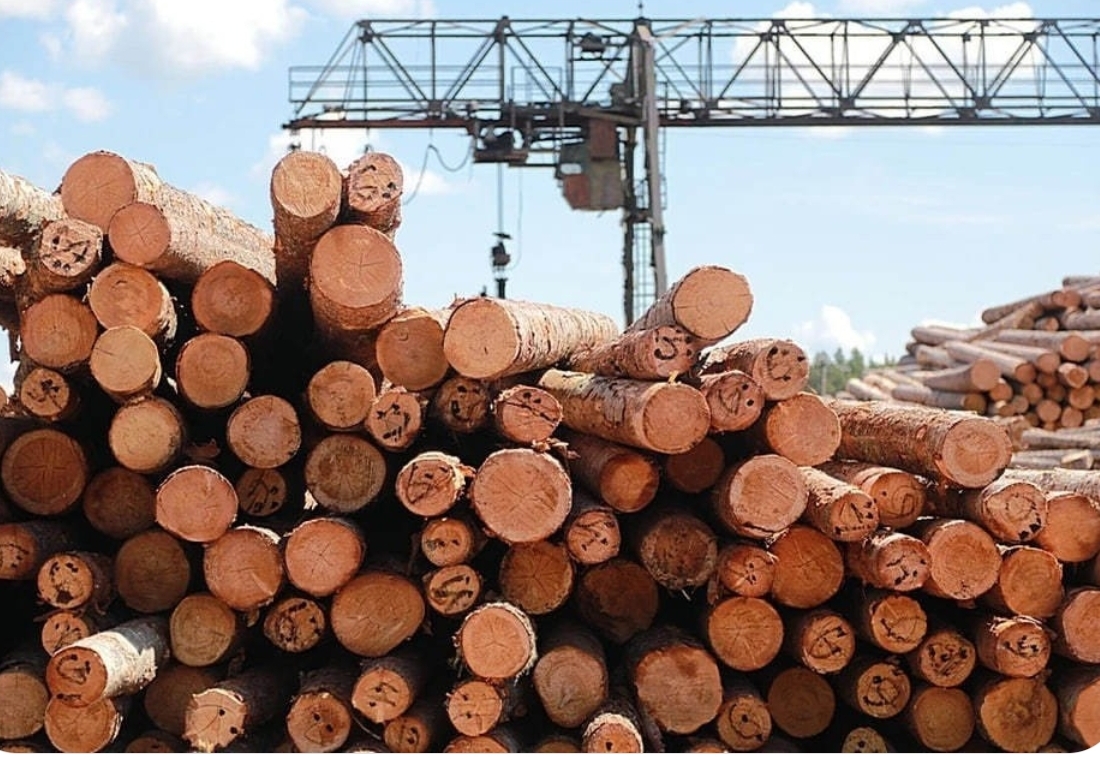 Китай получил 78% кузбасского леса, отправленного за рубеж в январе