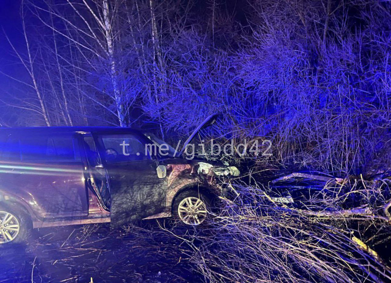 Водитель иномарки погиб, врезавшись в дерево
