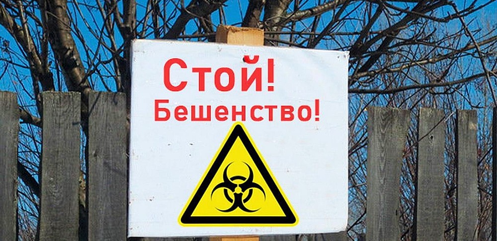 Бешенство распространяется по Кузбассу