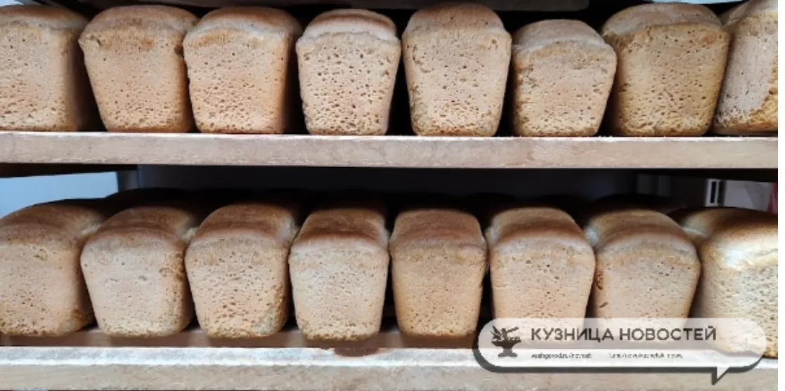 Белый хлеб перепишут по-новому: с 1 апреля в России вводят свежий ГОСТ 