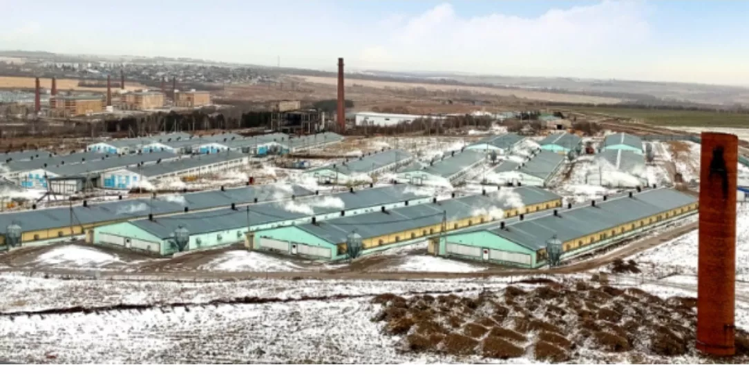 Предприятие «Кузбасский бройлер» готово рассказать, как устроена его работа