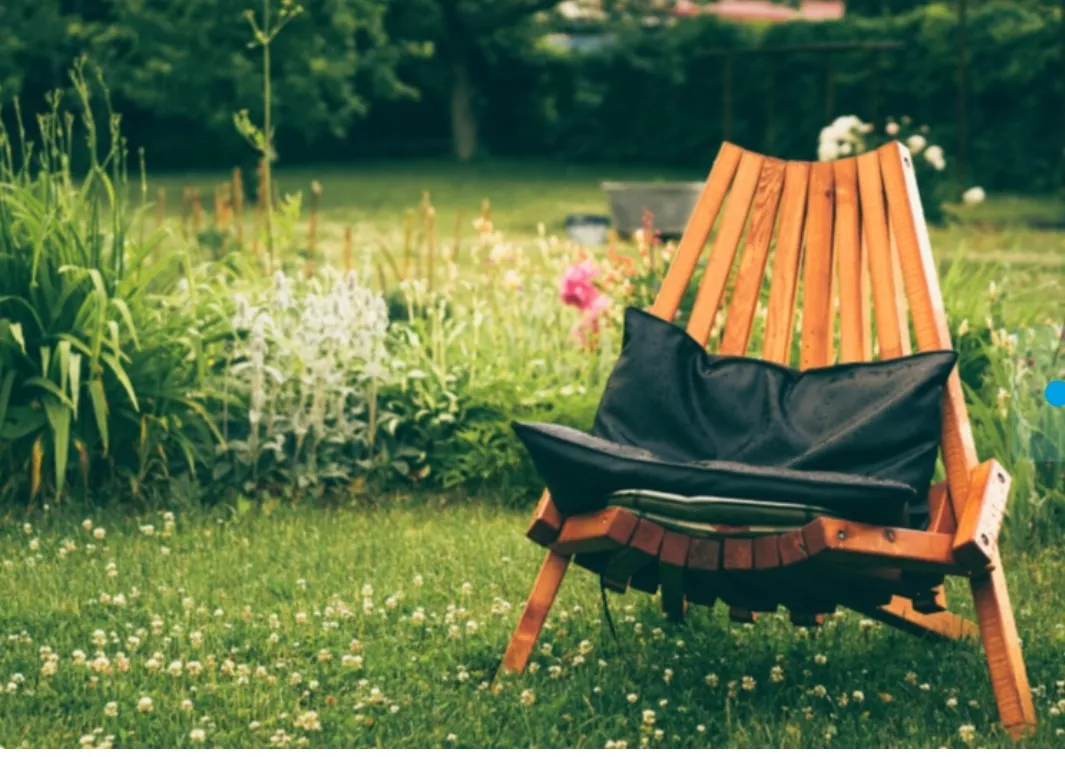 В Госдуме напомнили, что дачникам нельзя уединяться