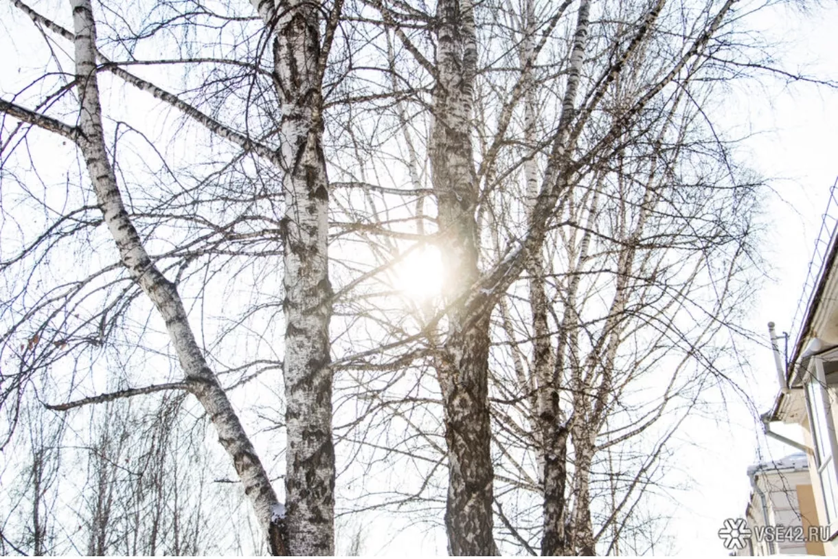 Жара под +30: апрель удивит Кузбасс экстремальным теплом