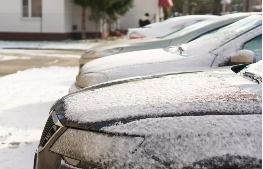 Кузбассовцам рассказали, как избавиться от чужаков во дворе