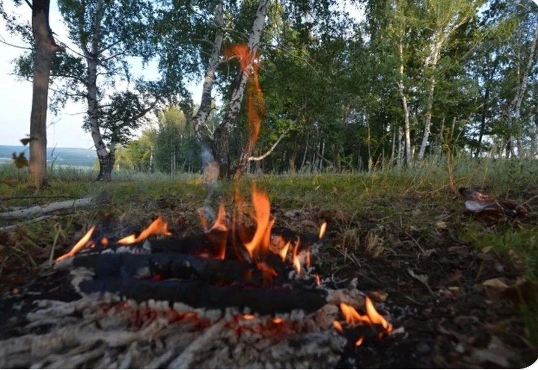 С 15 апреля в Кузбассе вводят строгий запрет на костры и шашлыки