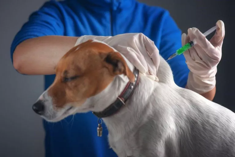 Новокузнецкий район начинает беситься