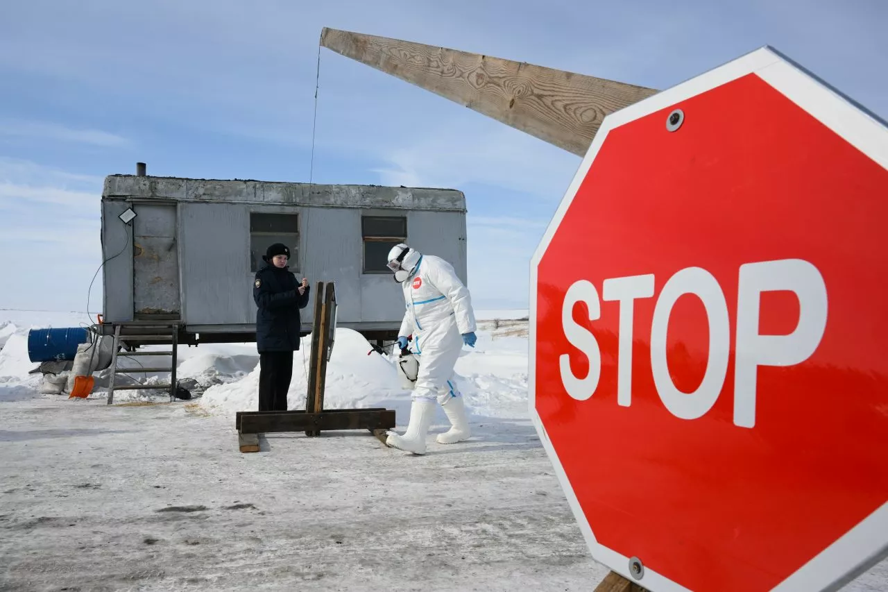 Юрлица из общего порядка исключены