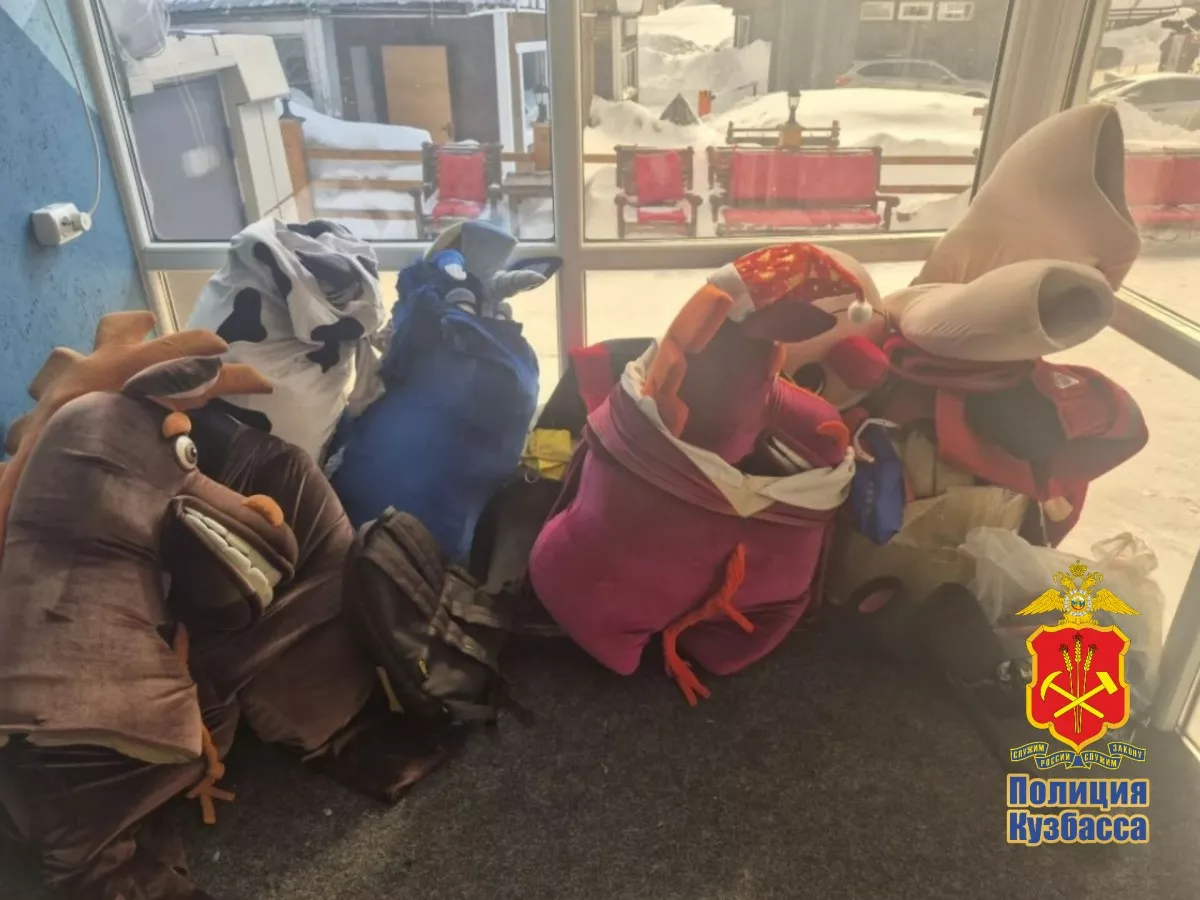 Иностранец в костюме зебры приставал к туристам в Шерегеше