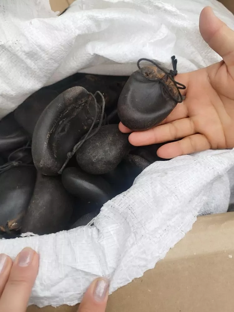 Кузбасские рога уехали в Китай