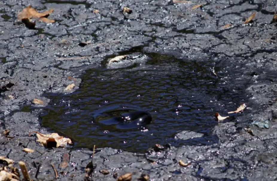 Информация о «фенольном озере» из первых рук