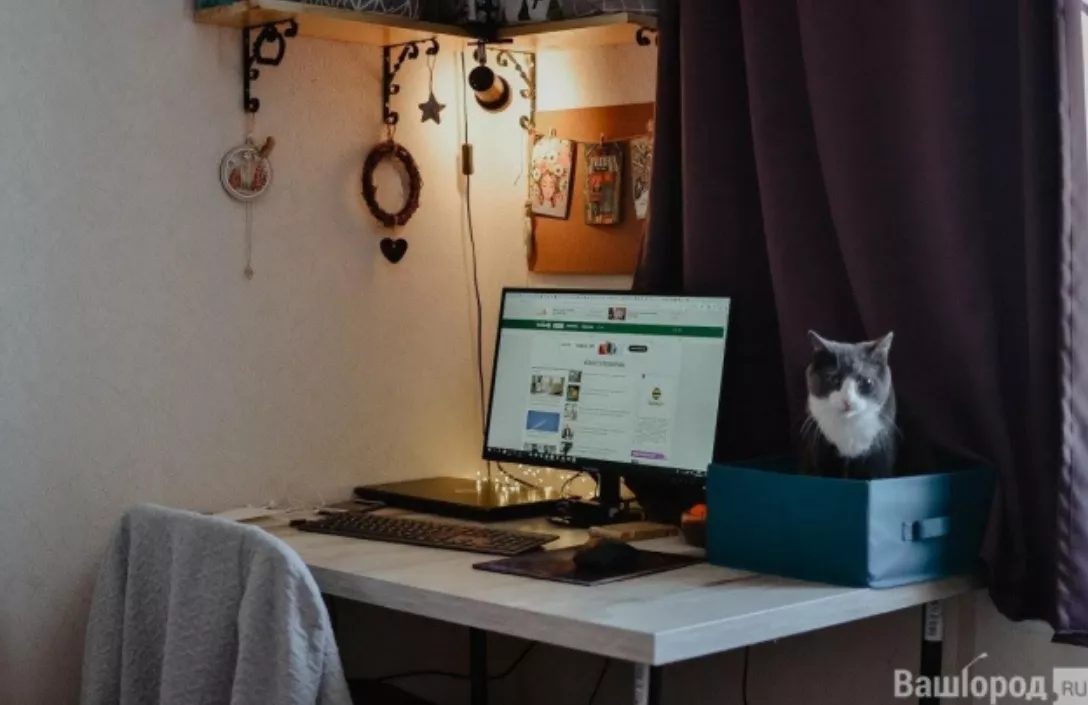 В России хотят ввести обязательную государственную почту: за неё надо будет платить