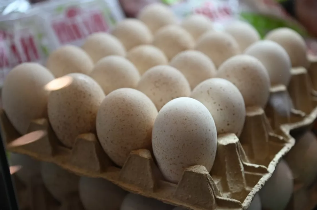 Кузбасс стал лидером Сибири по производству яиц