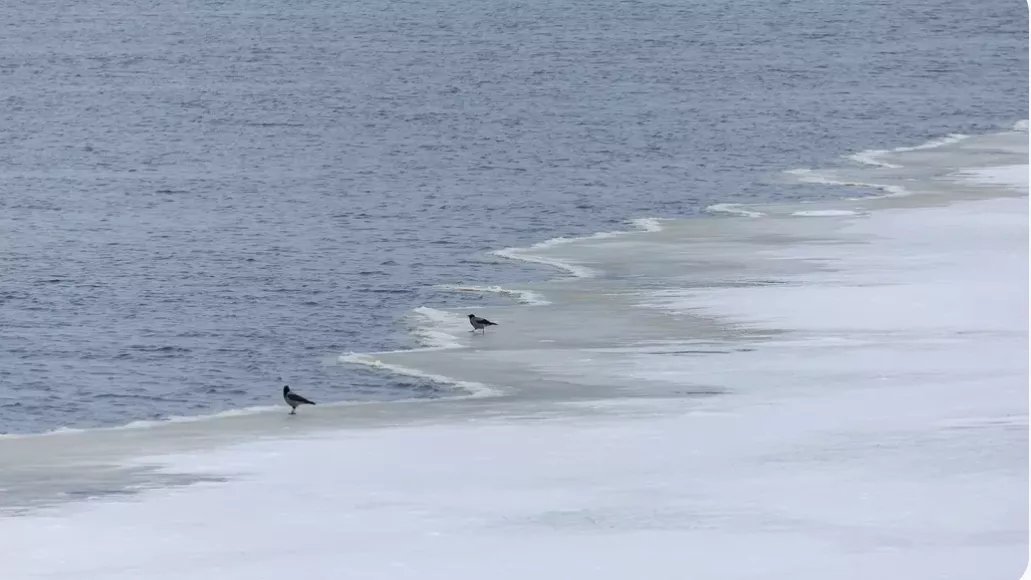 «Девятый год одни отписки»: экологи-активисты забили тревогу из-за желтых рек Кузбасса