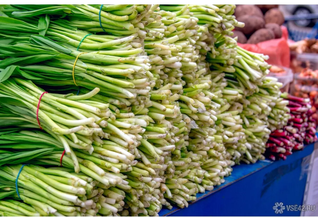 Токсиколог рассказал кузбассовцам, как «черемша» страшно травит людей