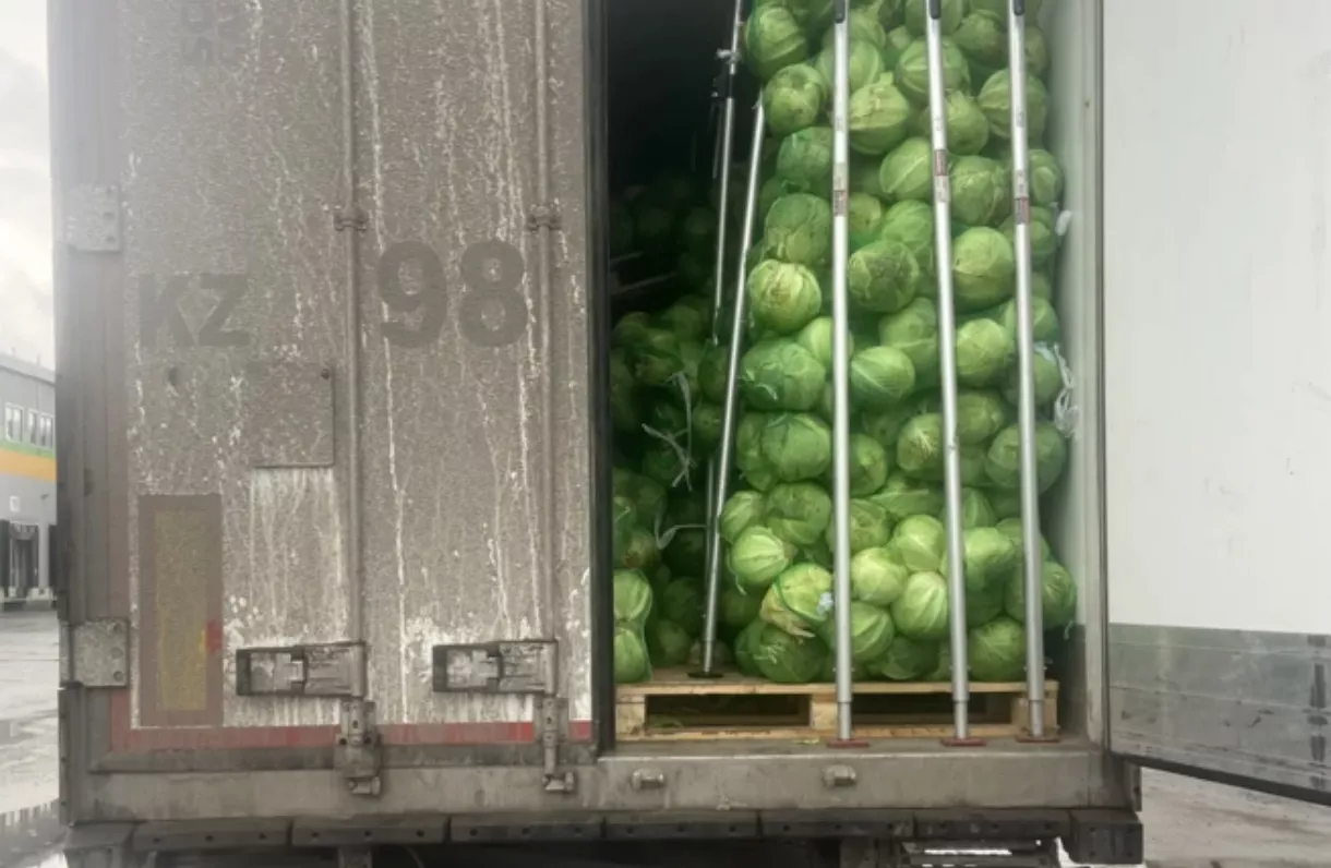 Больше 100 тонн овощей из регионов Средней Азии попали в магазины Кузбасса