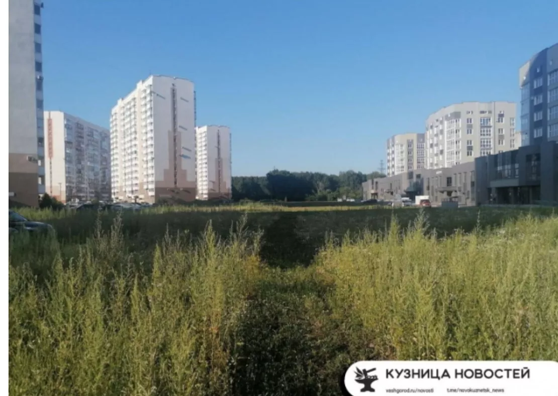 Новокузнечанам предлагают выбрать, что в городе надо ремонтировать в следующем году