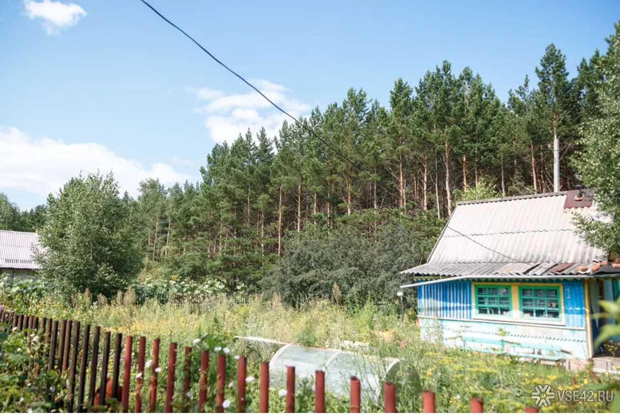 Власти теперь могут отбирать у кузбассовцев землю – кому грозит