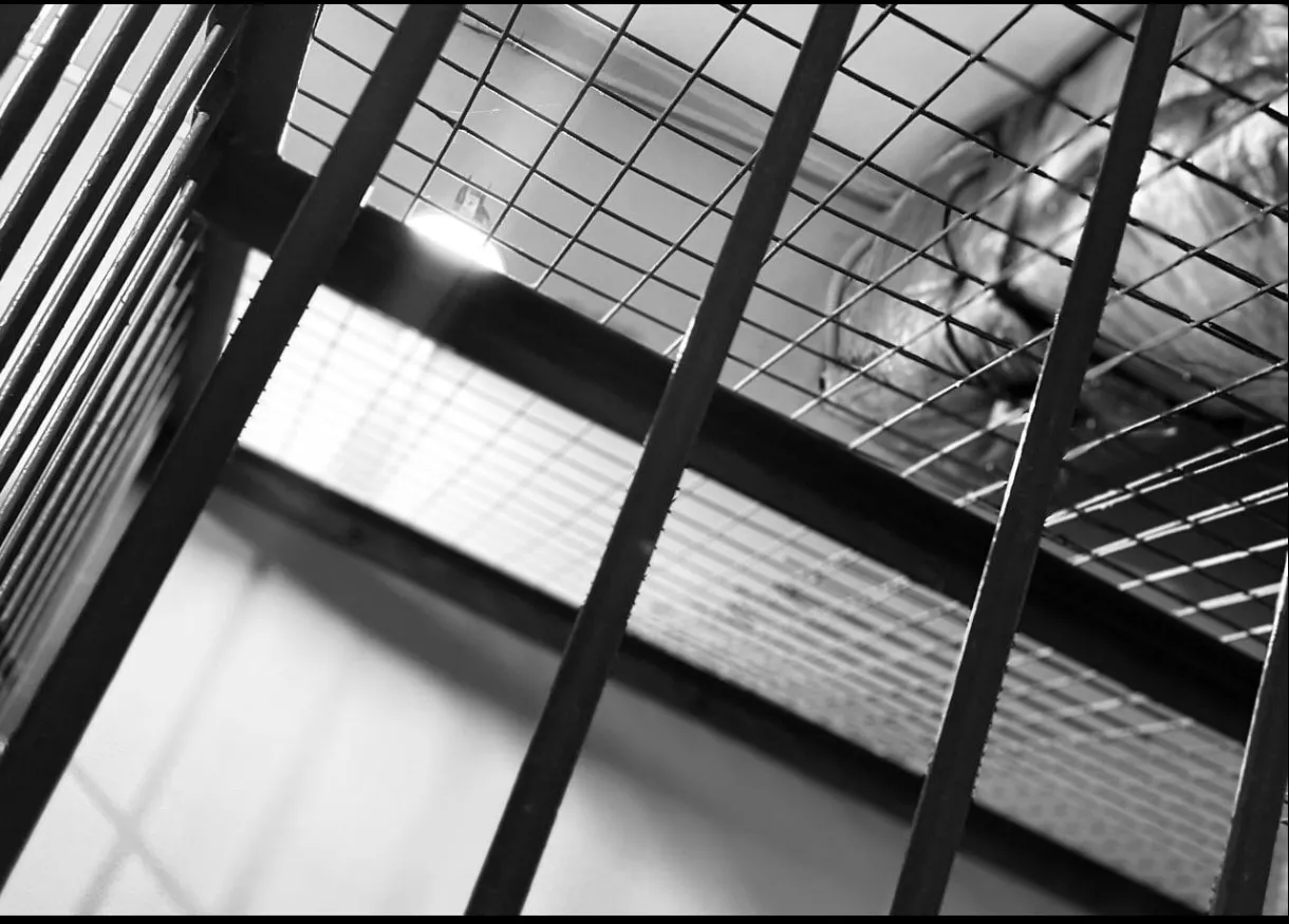 Новокузнечанин вымогал 15 миллионов, угрожая сжечь предприятие