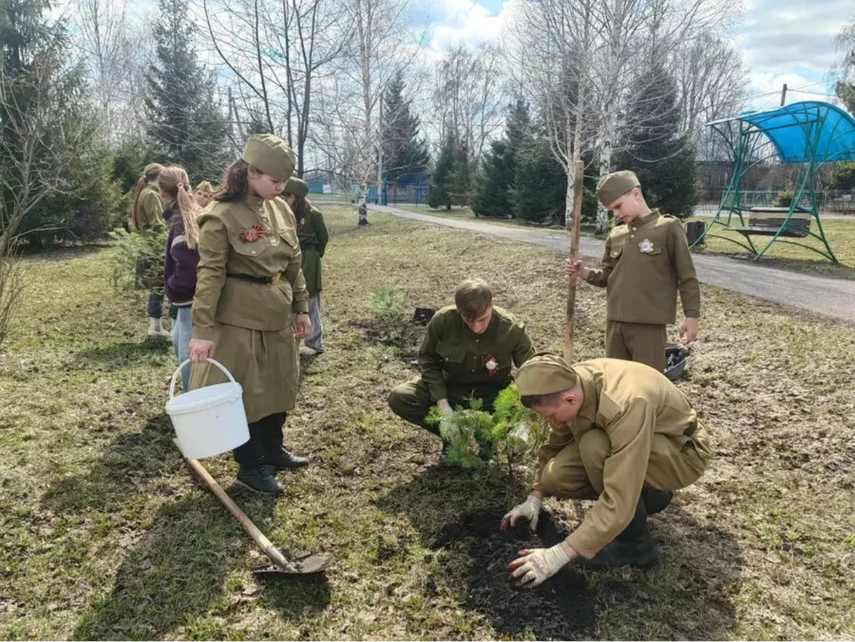 Почти 2 млн новых деревьев появится в Кузбассе